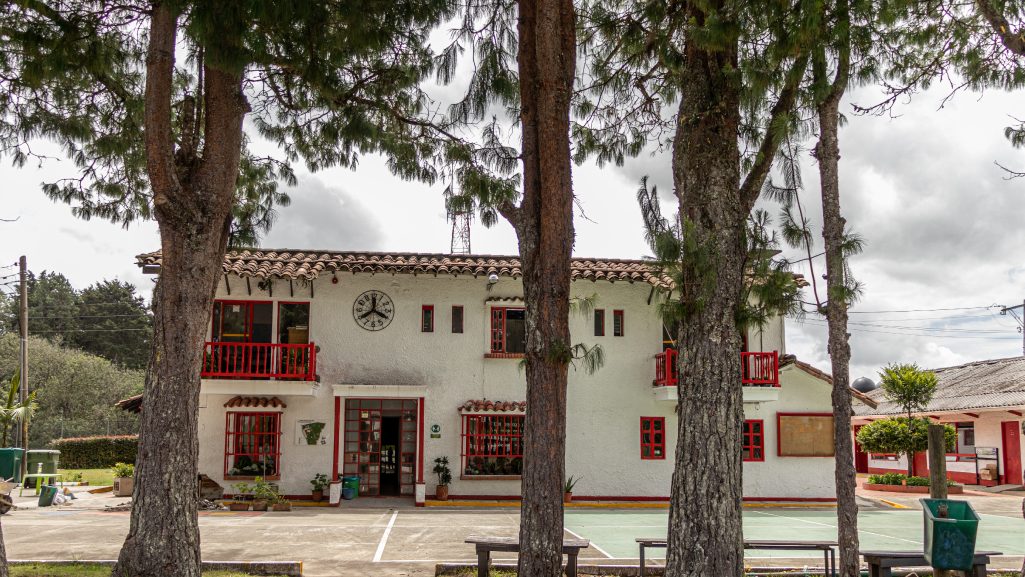 Imagen de COLEGIO ALCARAVANES