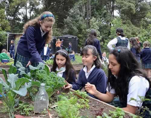Imagen de COLEGIO SAN PATRICIO