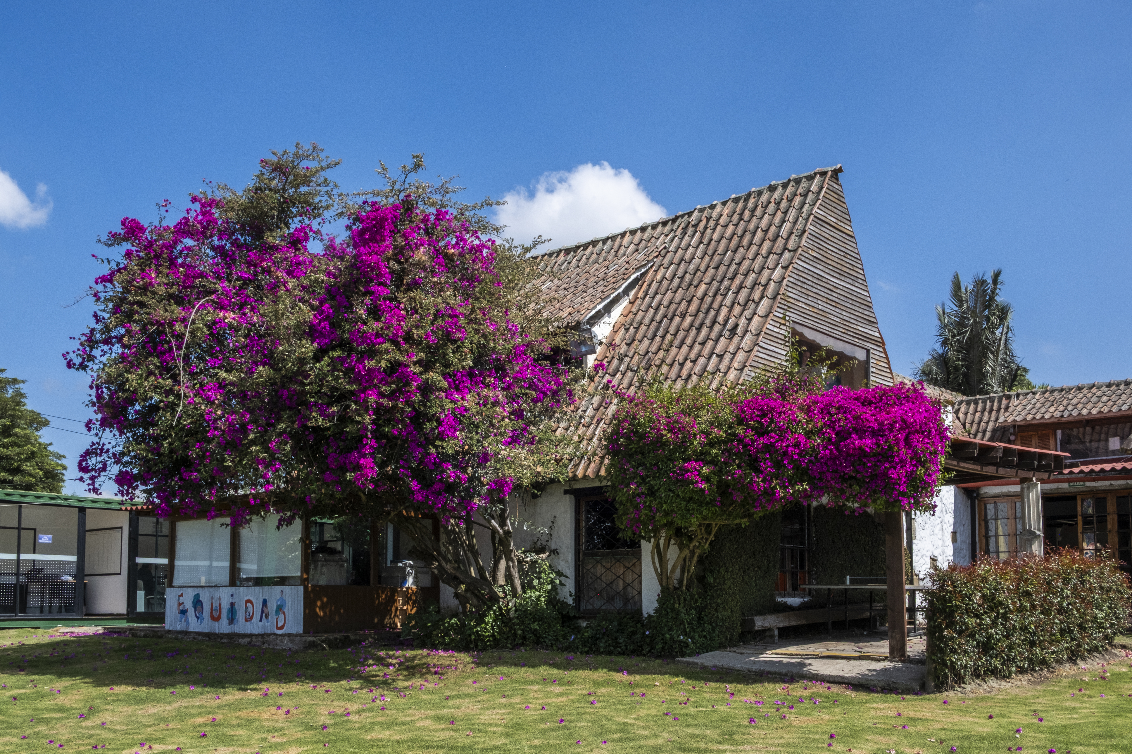COLEGIO CAMPESTRE SAN DIEGO