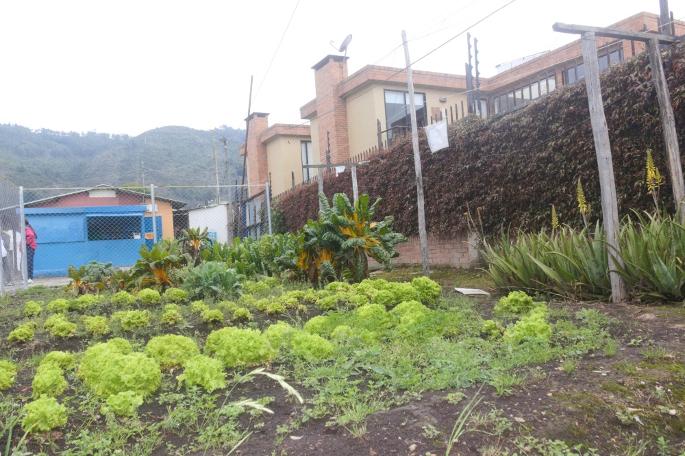 colegios cota-  colegio grupo pequeños- colegio sabana de bogotá LICEO DE LOS ANDES|Costos y Fotos de LICEO DE LOS ANDES |Colegios en |Los mejores Colegios de |Colegios Calendario A|Colegios  Calendario A en |Colegio ACADEMICO