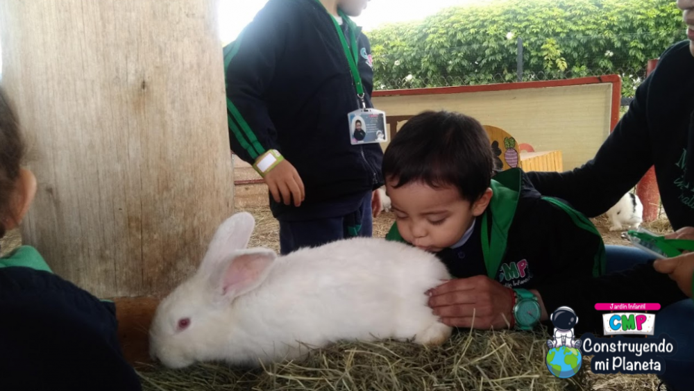 Jardines en ciudad salitre, jardines en modelia Jardín Infantil Construyendo mi Planeta|Costos y Fotos de Jardín Infantil Construyendo mi Planeta |Colegios en |Los mejores Colegios de |Colegios Calendario A|Colegios  Calendario A en |Colegio OTRO